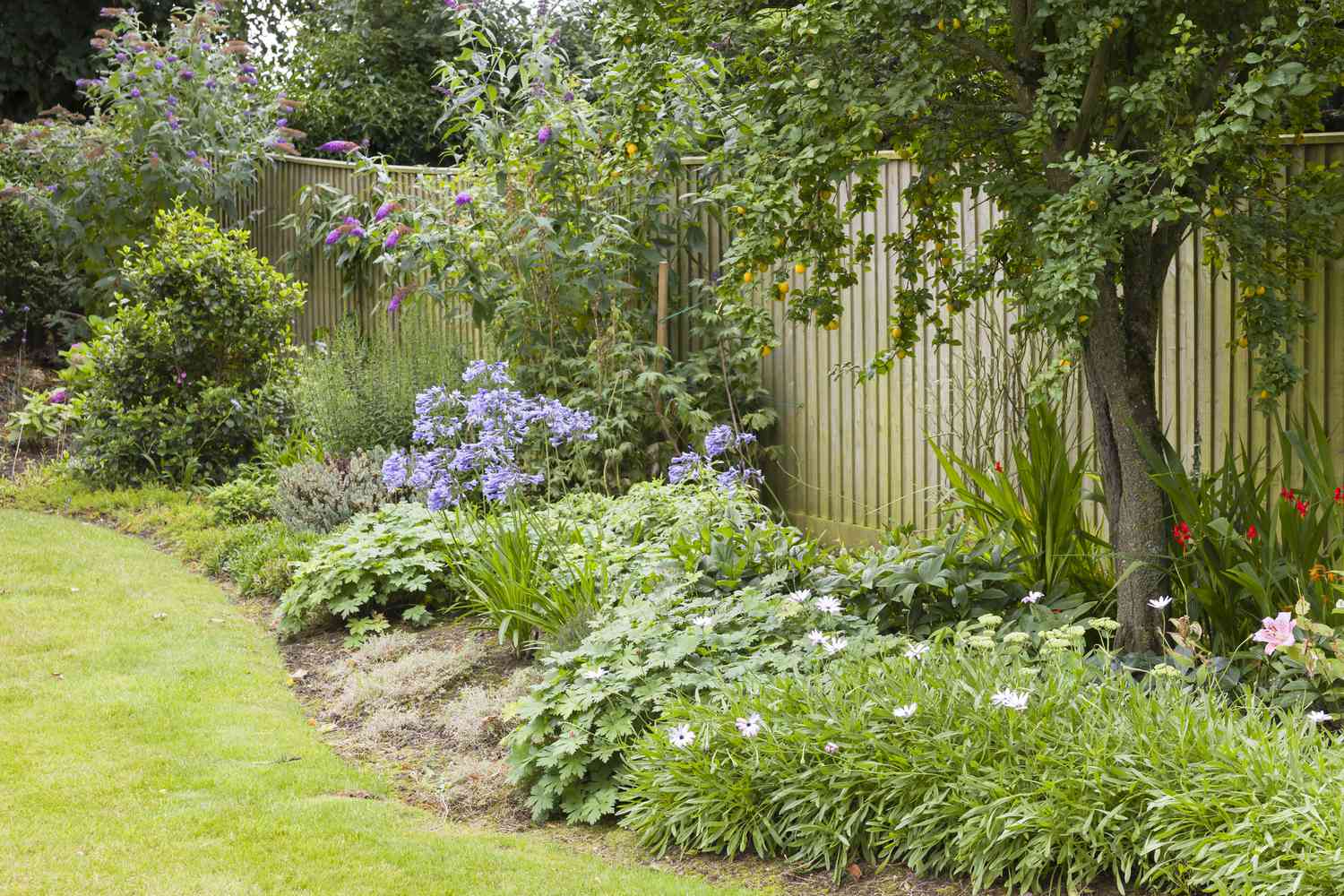 Landscaping Work