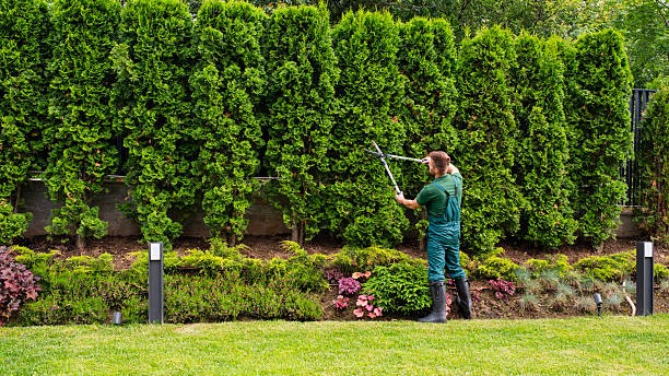 Landscaping Services project example 4