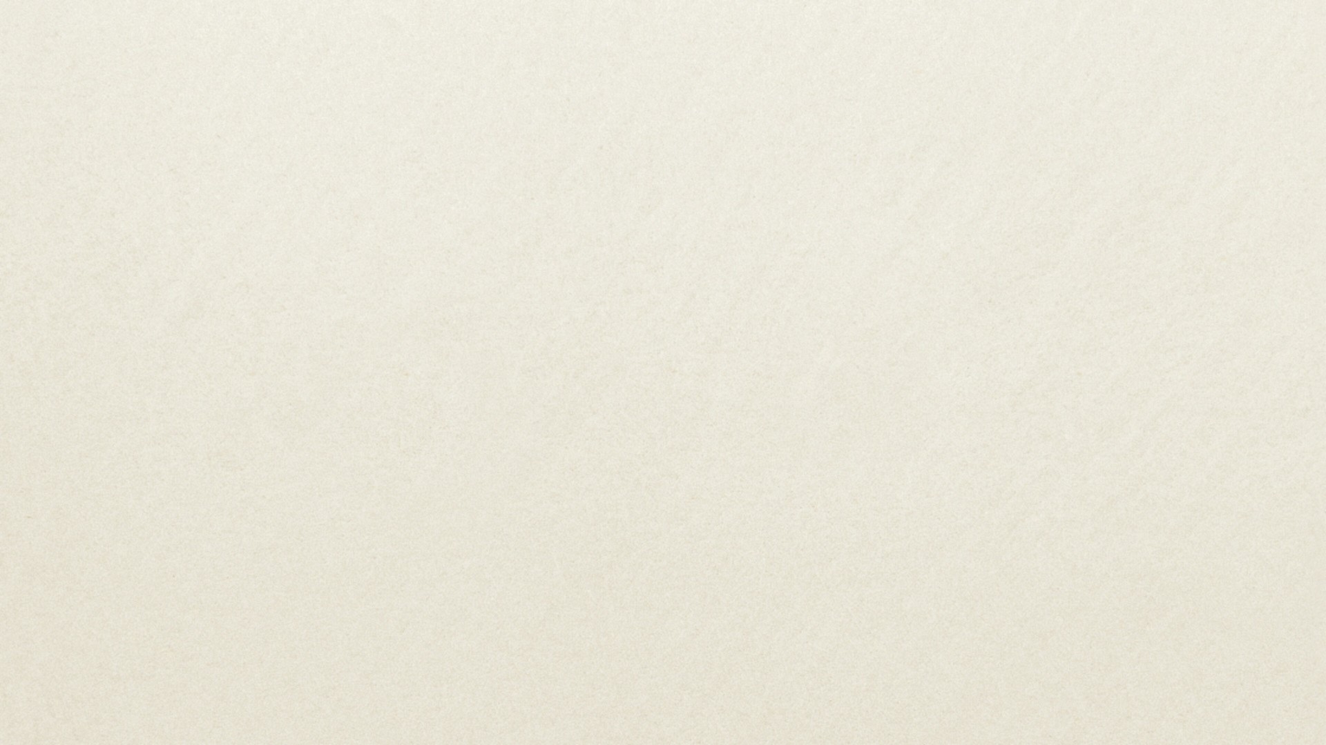 Plastering Specialties project example 4