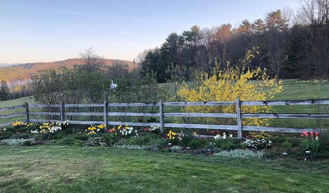 Landscaping Services